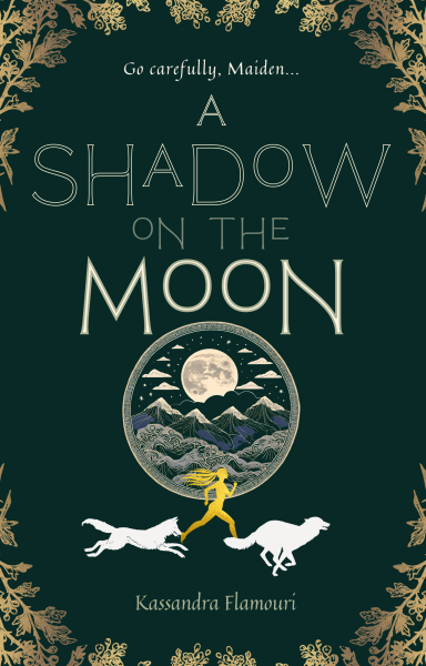 A Shadow on the Moon